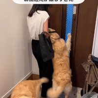 ドアへと押しやられる