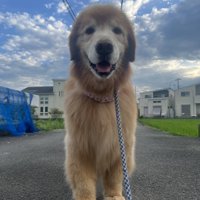 ニコニコ