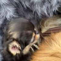 悶絶してしまうワンシーン