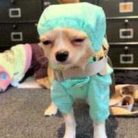 あからさまに不服そう