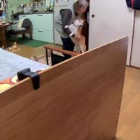 ピョンピョン飛び掛かる富士くん