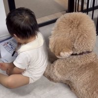 ペンを持つ男の子と犬