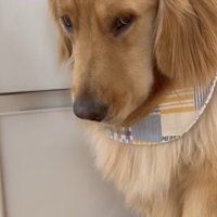 固まってオスワリ