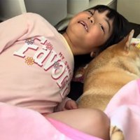 柴犬と添い寝する女の子