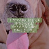 こんなに幸せな表情に！！