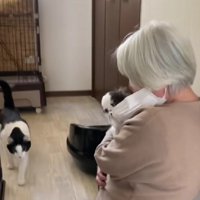 しらたまちゃんも来て…