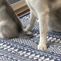 お見送り