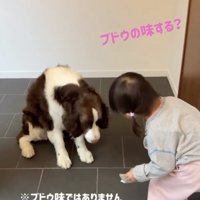 実はさつまいも味