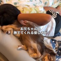 目をつぶるアムくん