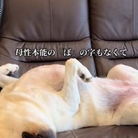 グースカ寝てる！！