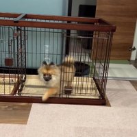 自由なナッツちゃん