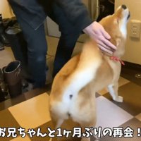 「おかえり～！」