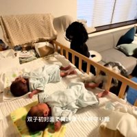 双子の赤ちゃんと2匹の大型犬