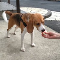スイカをもらって大喜び！