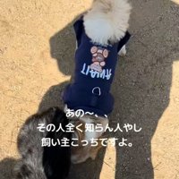 つぶやく飼い主さん