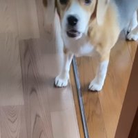 「遊んで！！」