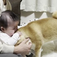 「大丈夫だよ」