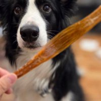 なんて可愛いサポーター…♡