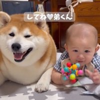 柴雄くんと赤ちゃん