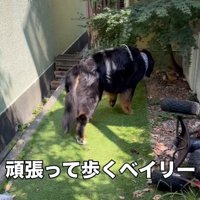 お庭に出て「ある場所」へ…