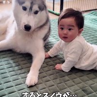 スノウちゃんに辿り着くと…