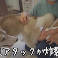 お尻アタックがさく裂！！