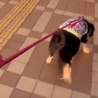 ついに再会のとき…