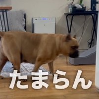 行きがけにチラ見することも