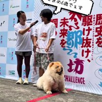 379段の階段レースに参加！！