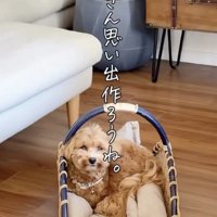 まだまだ成長中