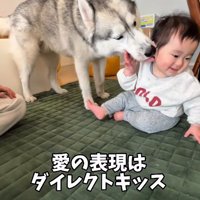 チューをするほどの溺愛ぶり