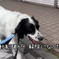 テトくんが幸せを掴むまで6