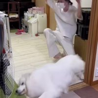 勢いよく足蹴り