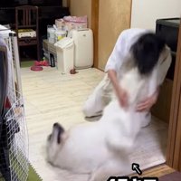 ドレミちゃんの成長8