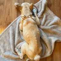 今までの苦労が伺える姿に…