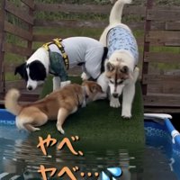 「落ちたくないぃ」