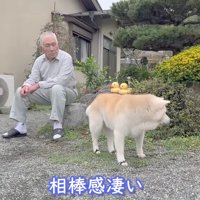 まるで相棒のような2人