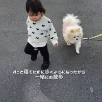 赤ちゃんと小型犬