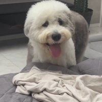 笑顔のポン太くん