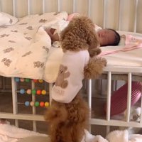 赤ちゃんを覗き込むりのちゃん