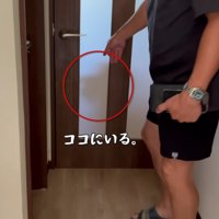 ベンツくんが待ち構えている…！
