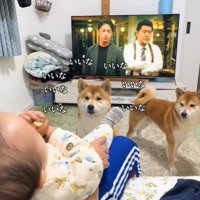 まだ諦めていない2匹