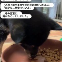 「破格でいいよ」