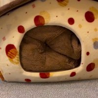 「おやつ」と聞いた文太くんの反応