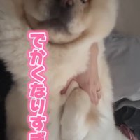 小梅ちゃんの成長5