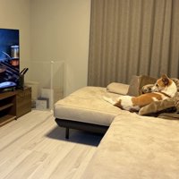 友人宅でドラマを楽しみます