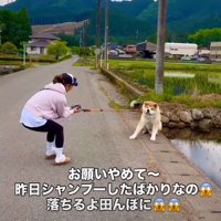 お母さんも大奮闘！！