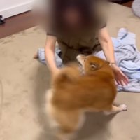 「やっと会えたー♪」と大はしゃぎ
