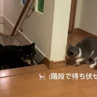 しっかり狙いを定めて…