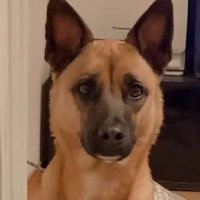 目力と佇まいが印象的♡